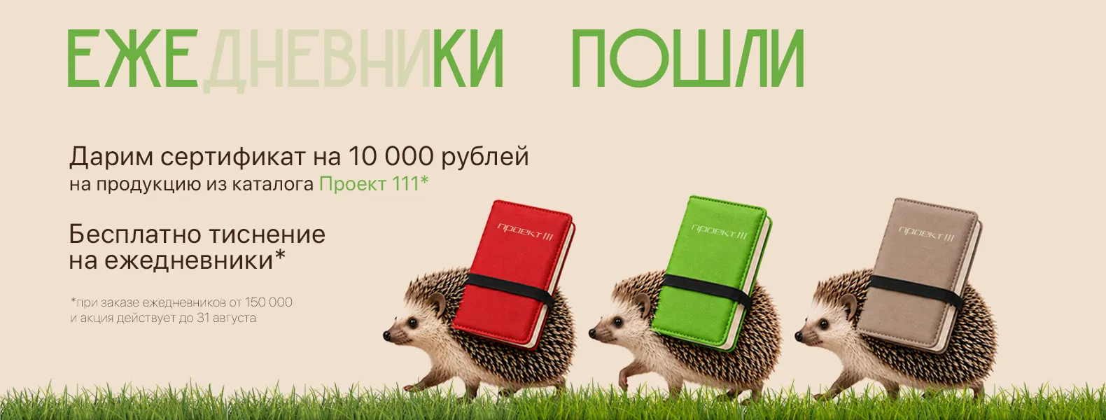 Ежики с подарками